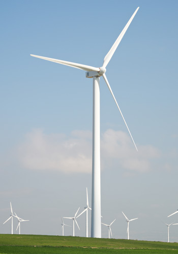 The Importance of Understanding Stochasticity in the Electric Grid